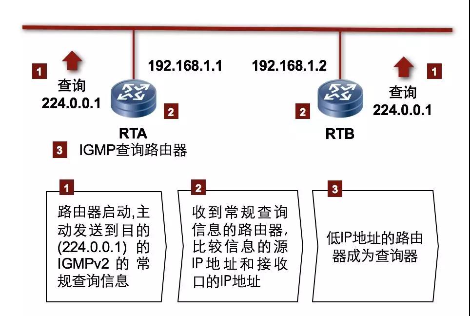 igmp 协议